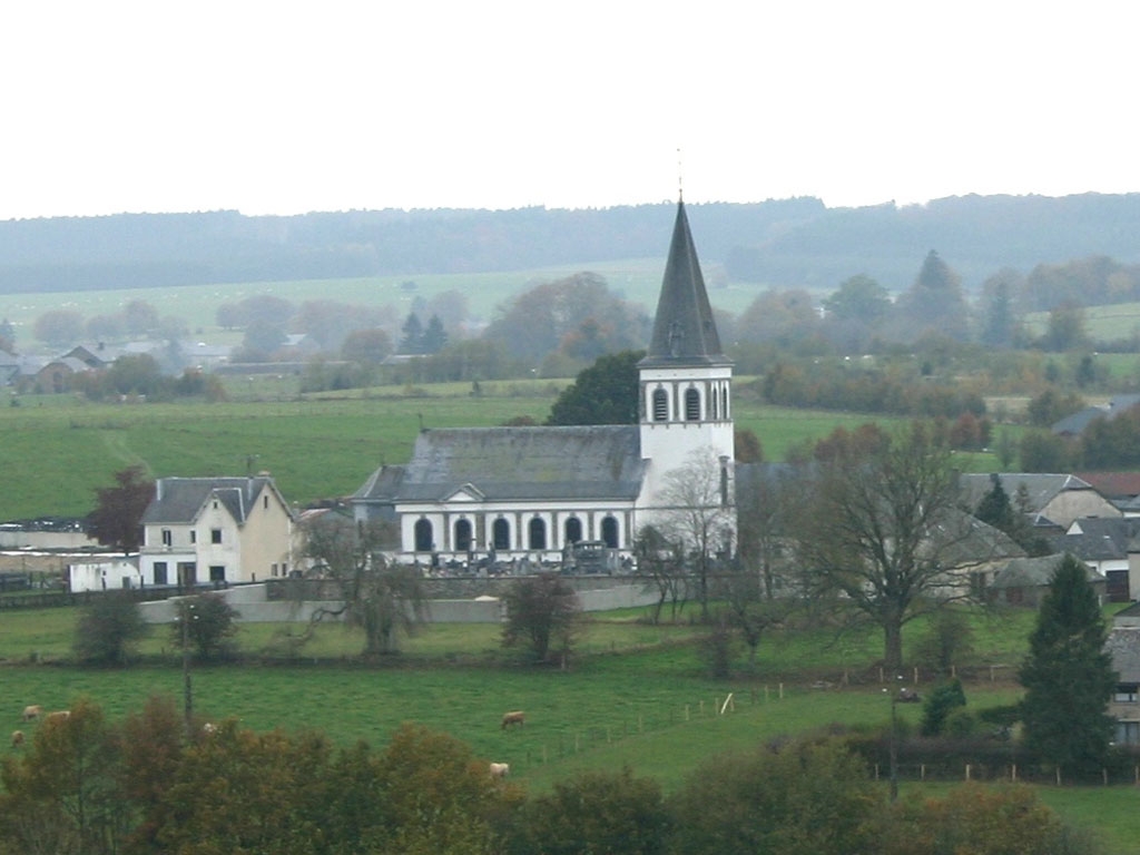 Eglise Saint-Martin de Nives